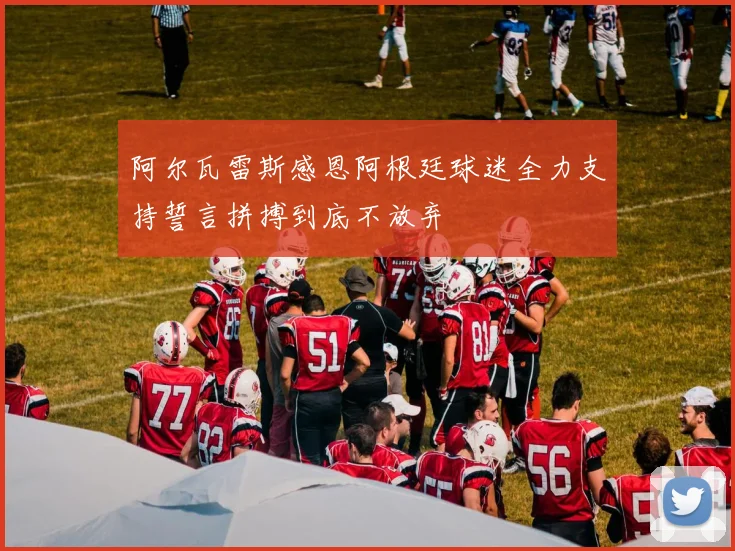 阿尔瓦雷斯感恩阿根廷球迷全力支持誓言拼搏到底不放弃